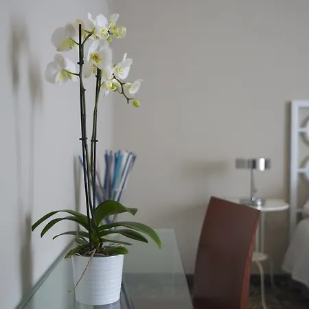 Casa Demi' *
